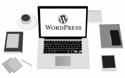 Wordpress Rettung Infografik